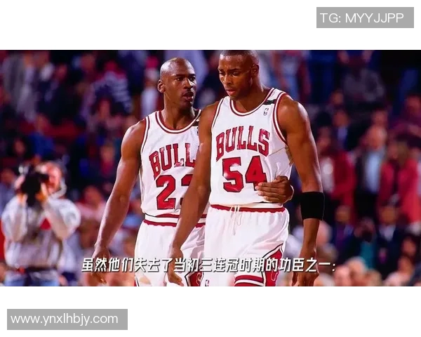 篮球明星本子揭秘：从球场到生活的精彩瞬间与背后故事