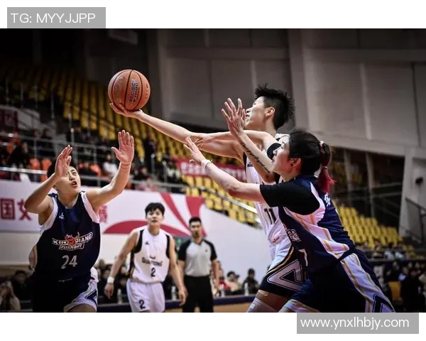 明星篮球对决精彩瞬间盘点让你感受他们的运动魅力与团队精神